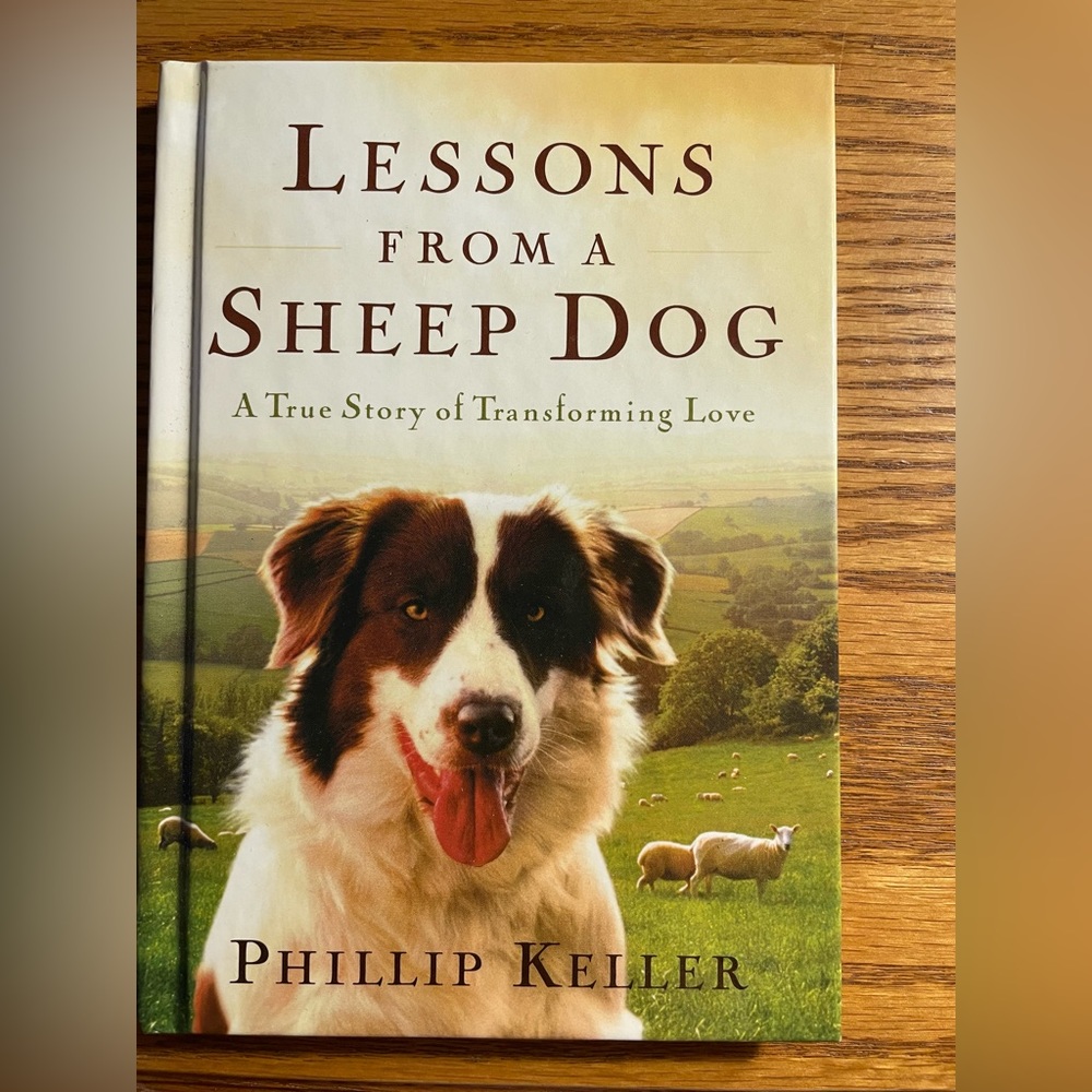 Cute dog stories